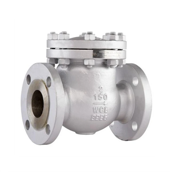 FLANGE TYPE CHECK VALVE 03